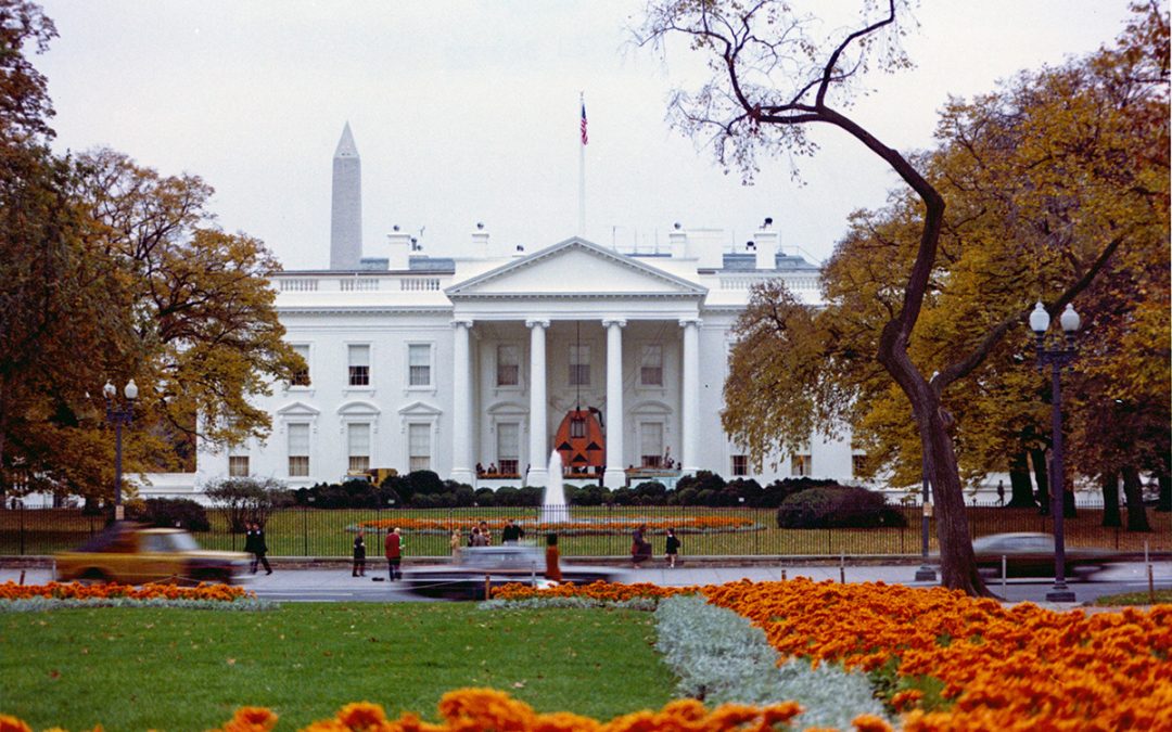 White House at Halloween