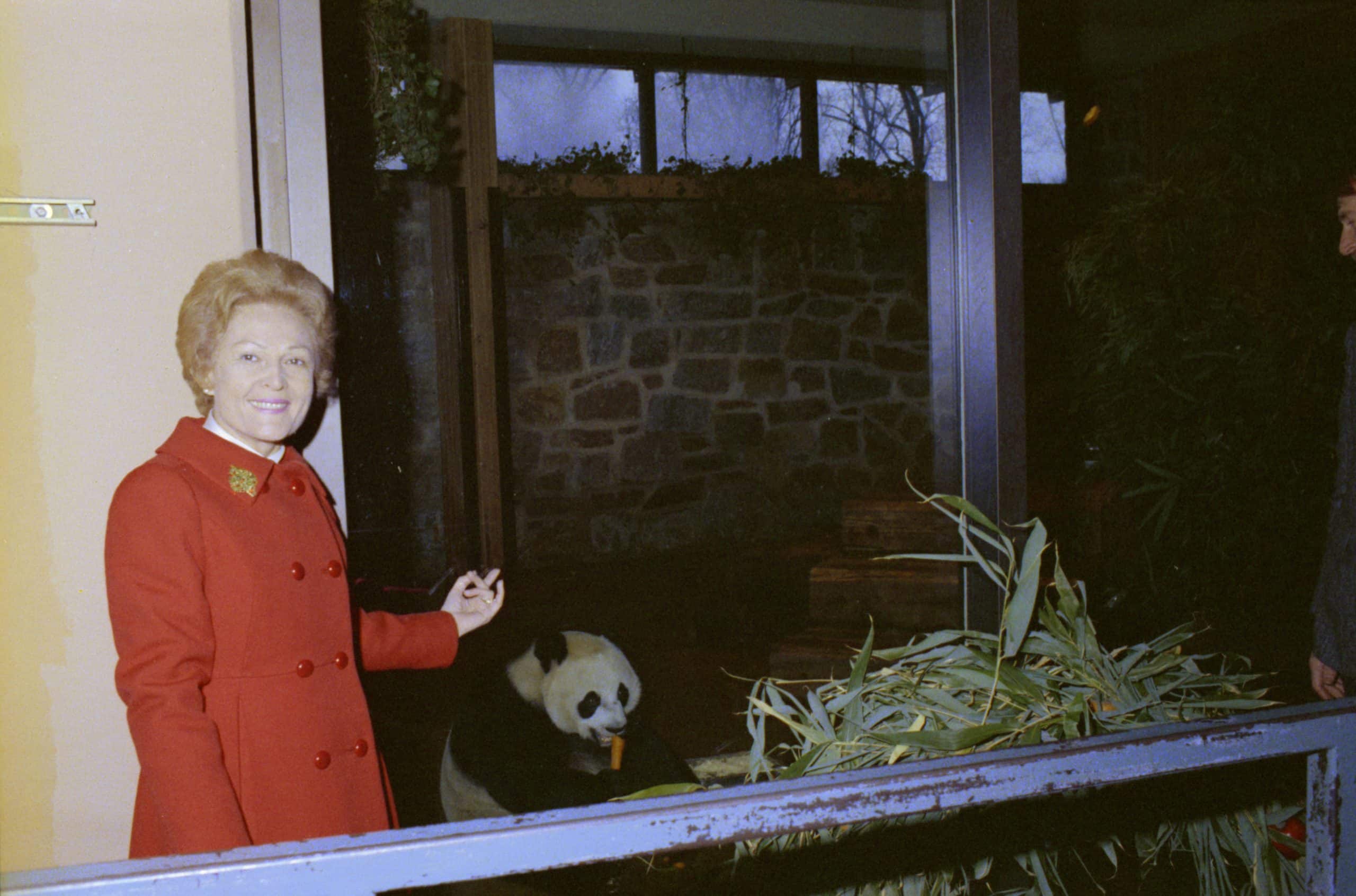 50 Years of “Panda-monium”